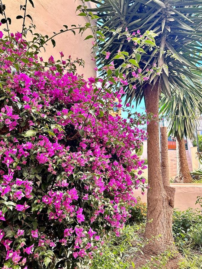 Art-Apart Caronte In Riviera Del Sol, Mijas Costa Sitio de Calahonda Kültér fotó